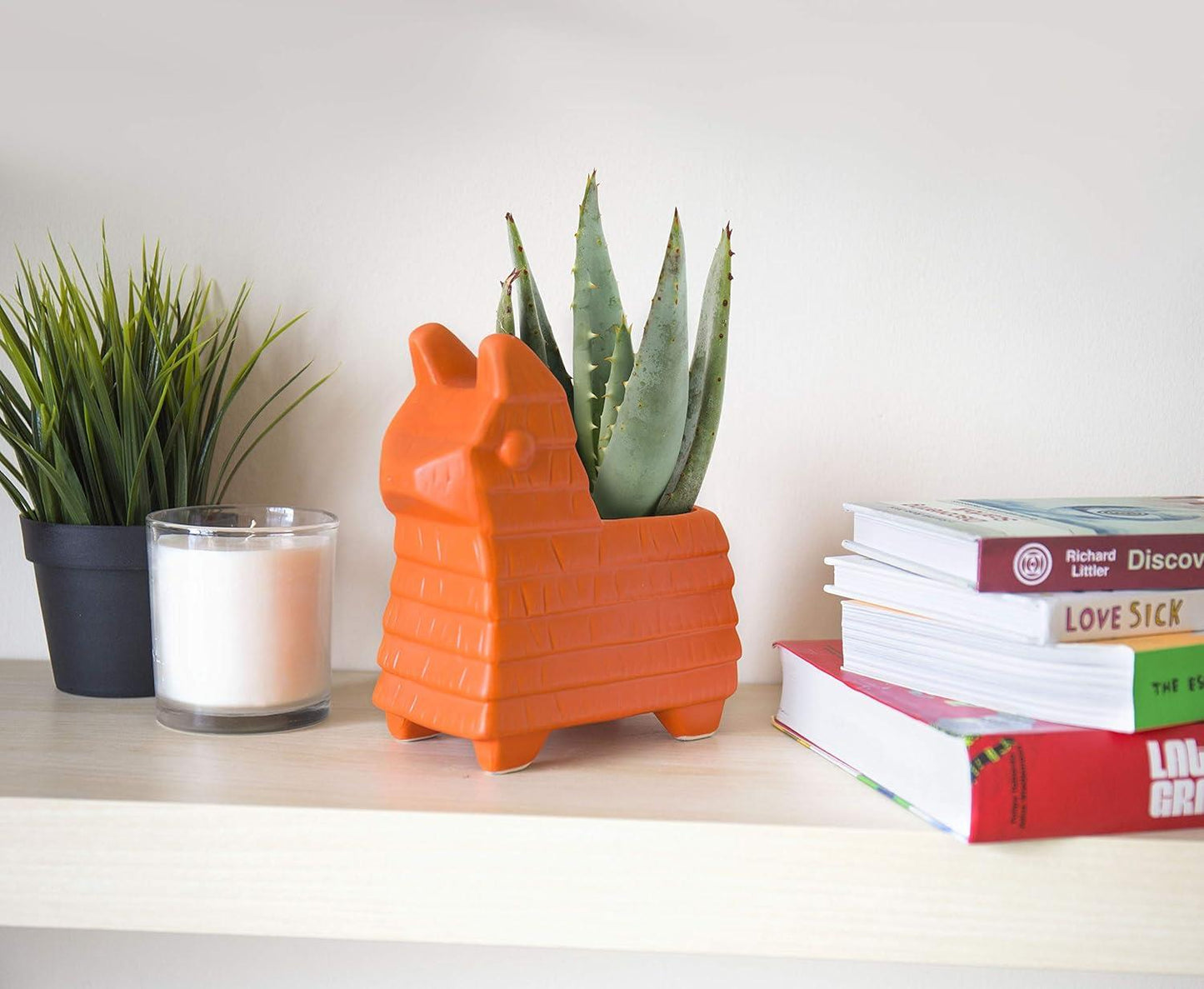 Gift Republic Pinata Plant Pot Fiesta Ceramic Indoor and Outdoor Use