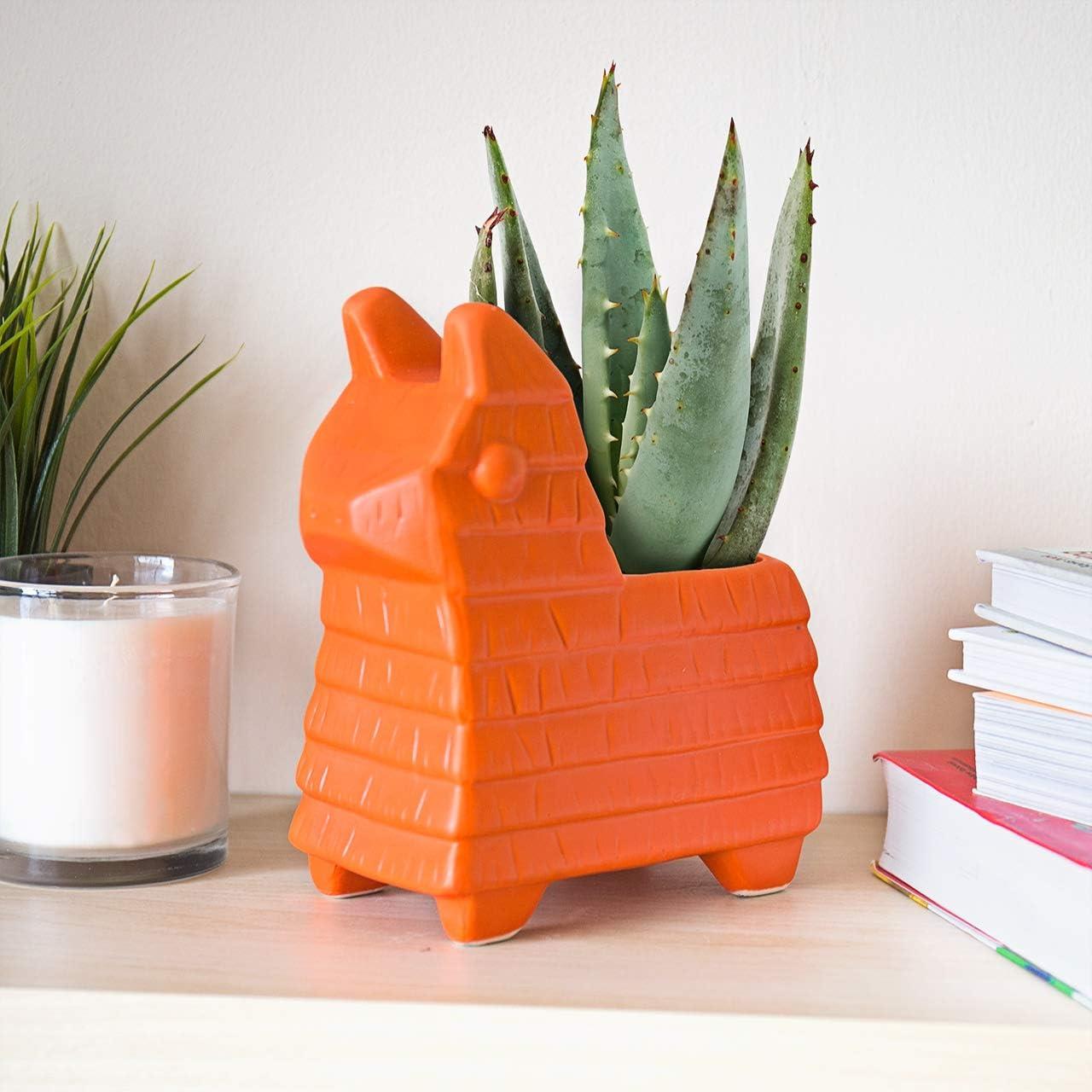 Gift Republic Pinata Plant Pot Fiesta Ceramic Indoor and Outdoor Use