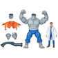 Gray Hulk & Dr. Bruce Banner 6″ Action Figure 2-Pack – Marvel Legends Series F7084 by Hasbro | Comic-Inspired Avengers Duo with Accessories